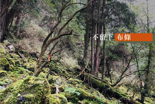 羌虎專欄 | 登山路徑不留下布條?