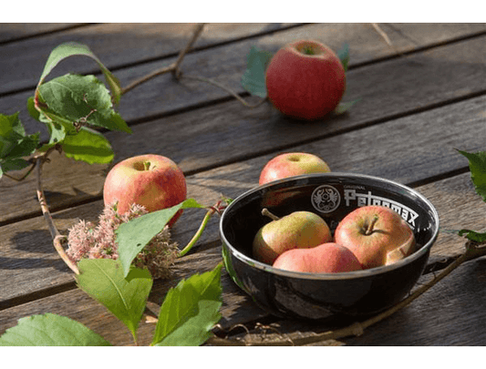 Petromax 琺瑯碗 600ml 2入 黑 px-bowl