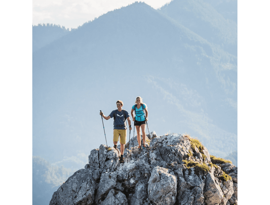 KOMPERDELL CARBON COMPOSITE COMPACT 1752371-10 碳纖+鈦金快扣登山杖 120cm/195g