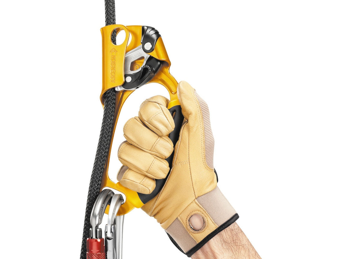 PETZL ASCENSION 上升器