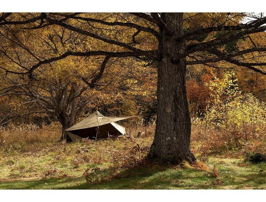 ZANE ARTS GIGI-1 TC 日如常 帳篷