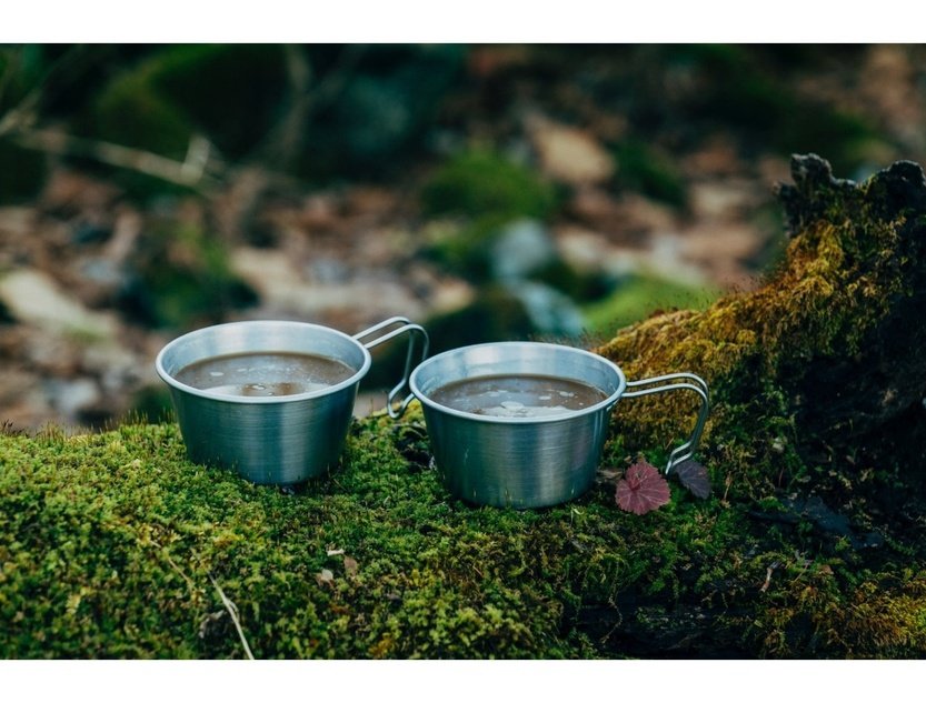 ZANE ARTS STAINLESS SIERRA CUP 不鏽鋼雪拉杯