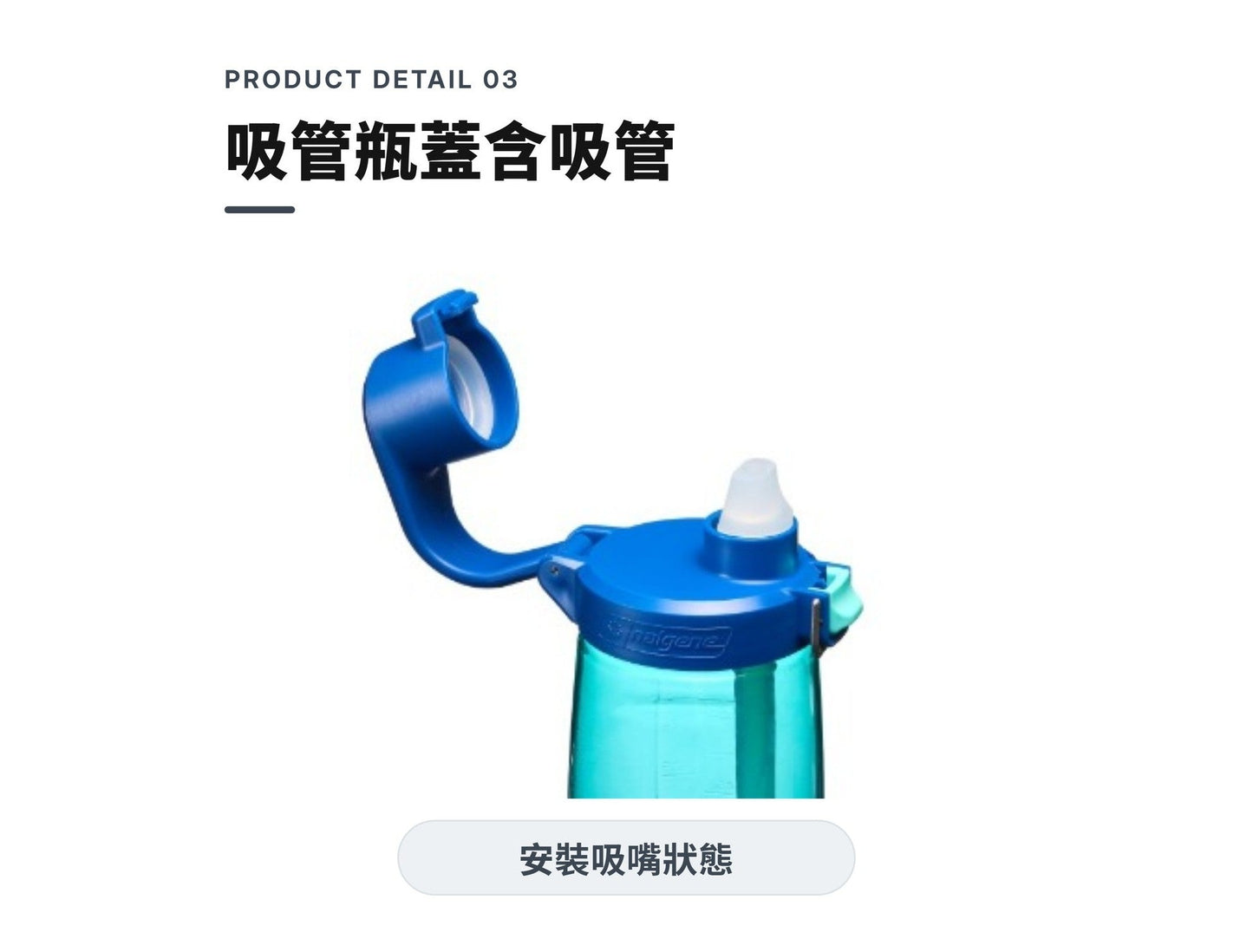 Nalgene水壼 Straw Bottle 吸管水壼 650ml 煙霧灰/黑蓋