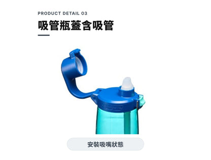 Nalgene水壼 Straw Bottle 吸管水壼 650ml 煙霧灰/黑蓋