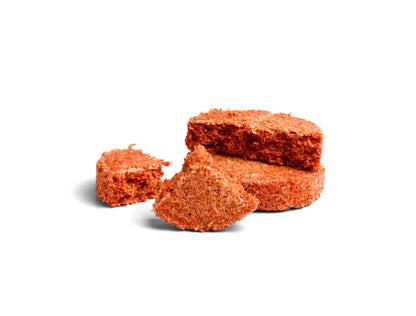 COGHLAN'S #1424 生火燃料塊