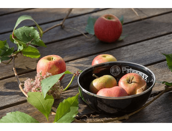 Petromax 琺瑯碗 600ml 2入 黑 px-bowl