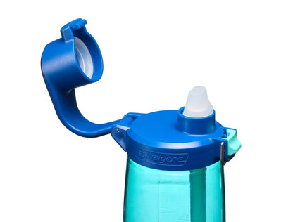 Nalgene水壼 Straw Bottle 吸管水壼 650ml 湖綠/藍蓋