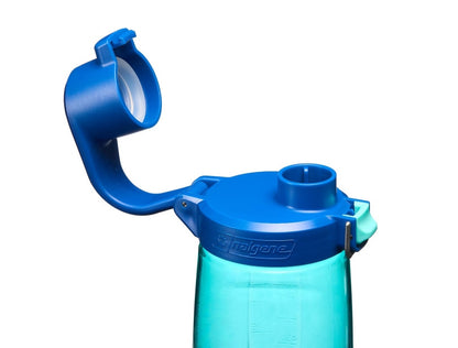 Nalgene水壼 Straw Bottle 吸管水壼 650ml 湖綠/藍蓋