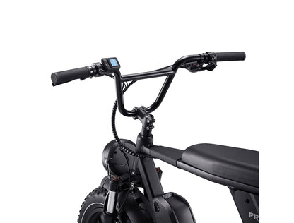 Acer Predator eNomad-R 電動輔助自行車 mabuvalley