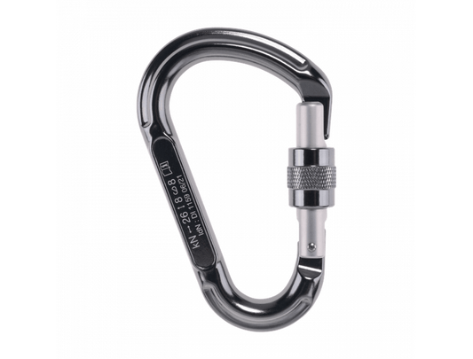 BEAL BE LOCK SCREW 鋁合金梨型有鎖鉤環 mabuvalley