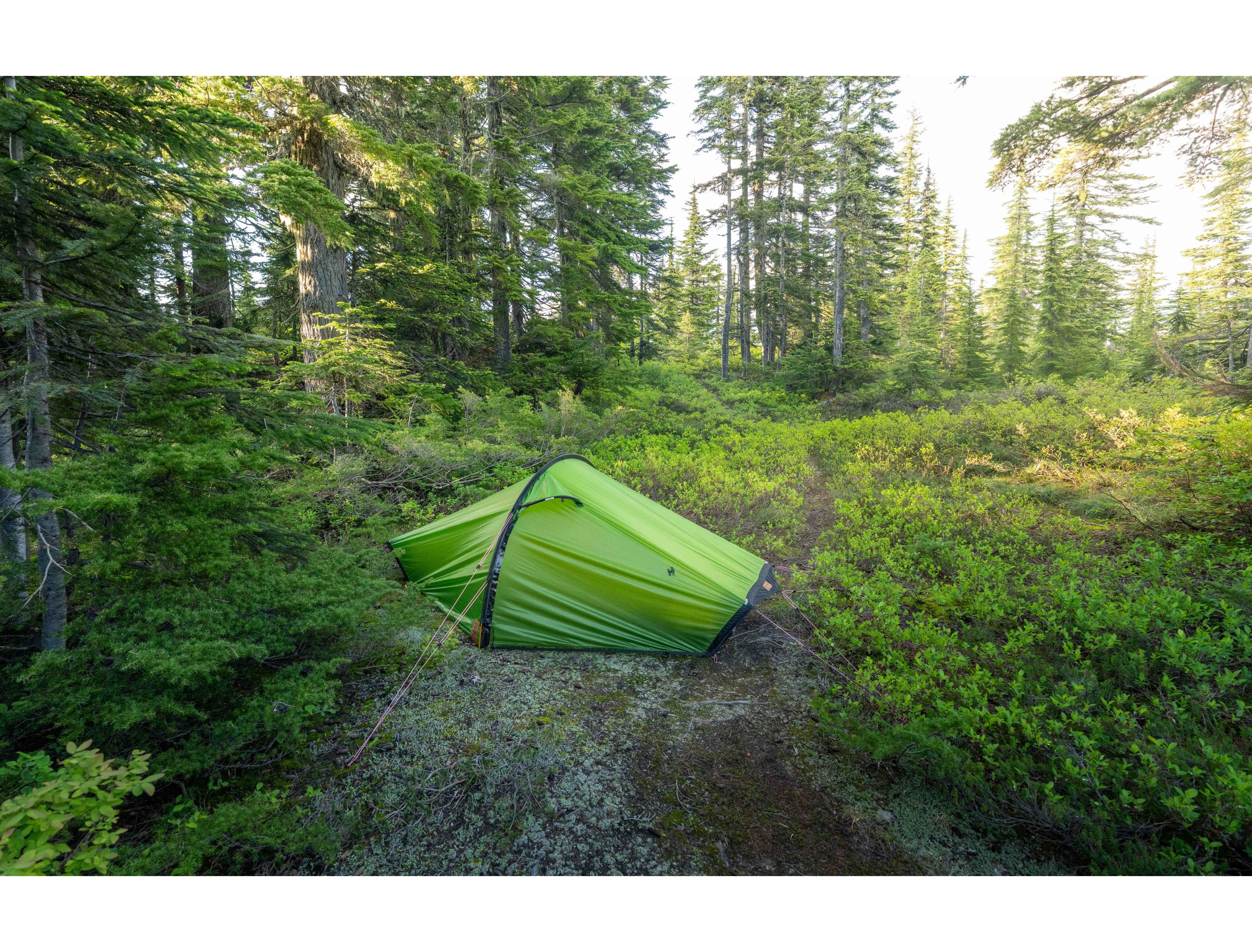 HILLEBERG Akto 卡托帳篷30年紀念版– 馬布谷戶外裝備Mabu Valley