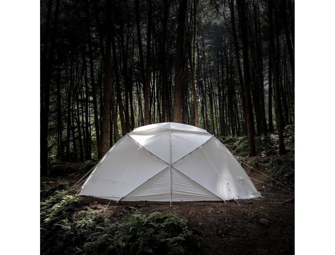 HILLEBERG Atlas Basic Tactical White 亞特拉斯 帳篷 軍版-白色 mabuvalley