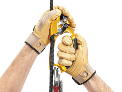 PETZL ASCENSION 上升器 mabuvalley