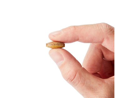 【高效不斷電組】鋭速 RACE ON 水動能電解質液PLUS鋅 + 雙速咖啡因雙層錠 mabuvalley