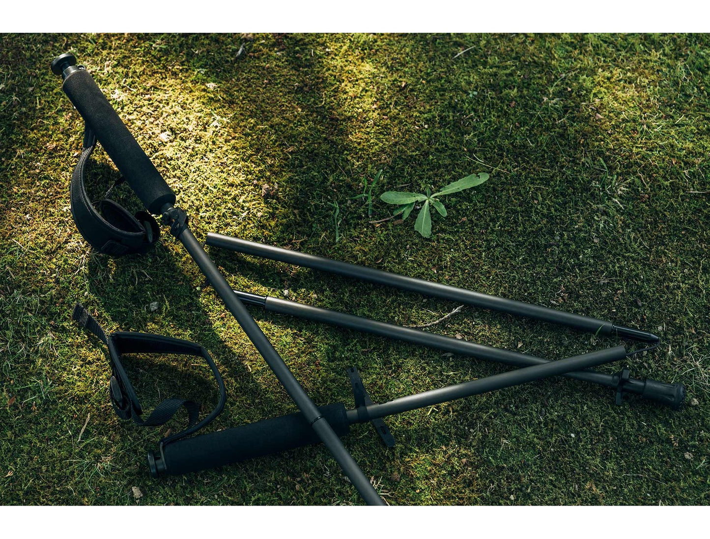 ZANE ARTS 3 SECTION TREKKING POLE 超輕量碳纖登山杖 mabuvalley