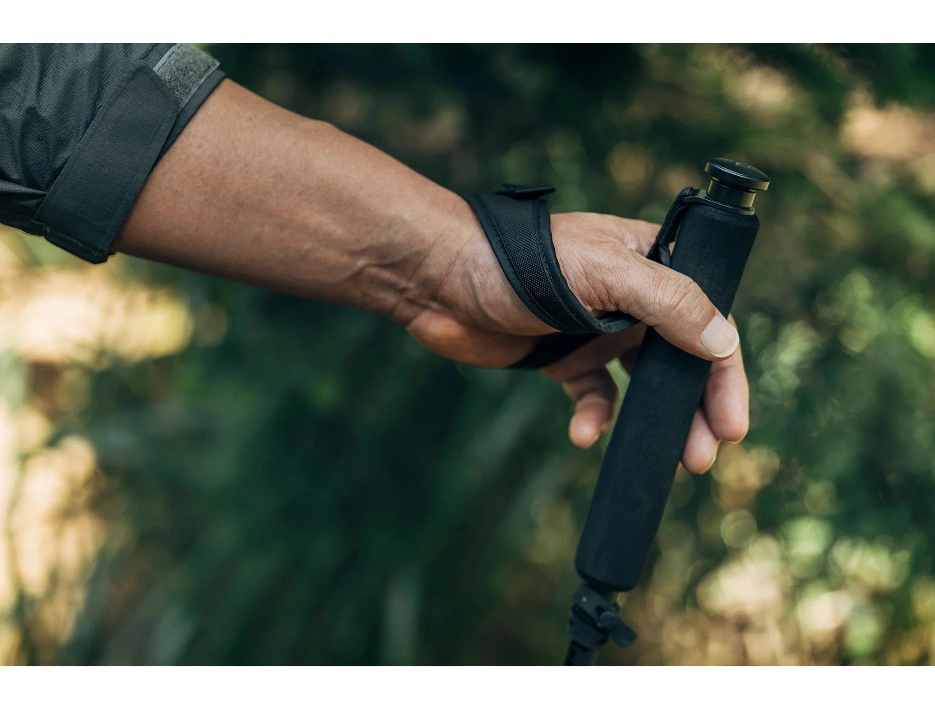 ZANE ARTS 3 SECTION TREKKING POLE 超輕量碳纖登山杖